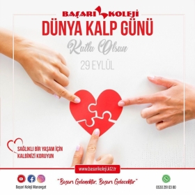 ANAOKUL Foto Galeri