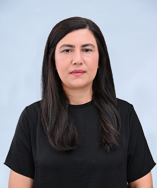 Ümmühani KAPLAN MATEMATİK ÖĞRETMENİ